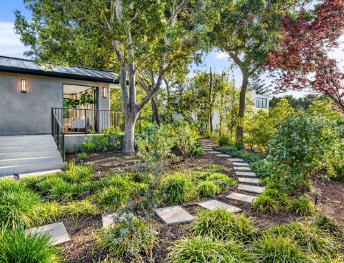 10 Spring Curb Appeal Tips to Boost Your Home’s Charm